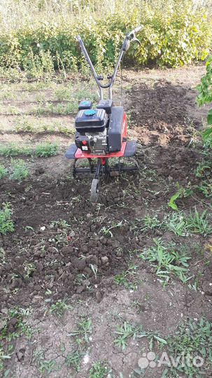 Мотоблоки и культиваторы бу