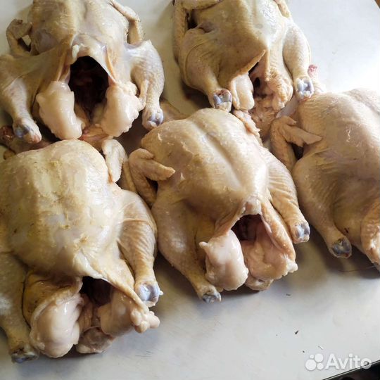 Мясо бройлера