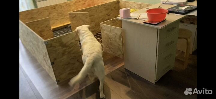 Загон, Вольер для щенков, собак