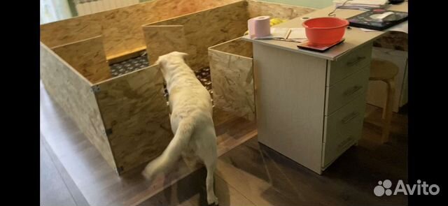 Загон, Вольер для щенков, собак