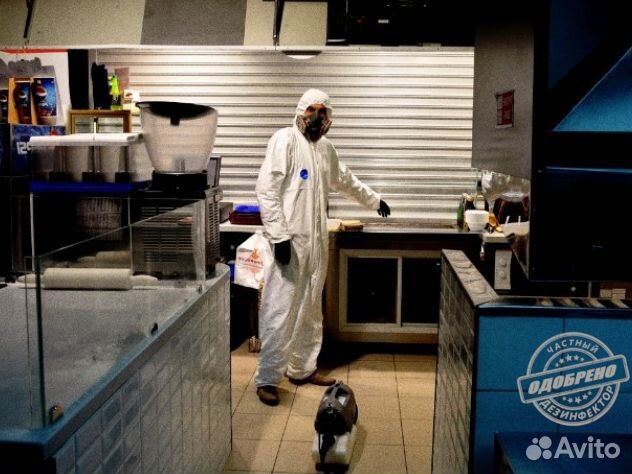 Уничтожение клопов тараканов дезинфекция плесени