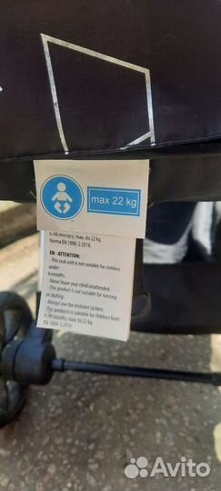 Коляска coletto jokko