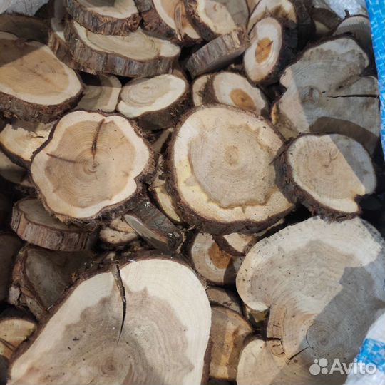 Спилы можевельника