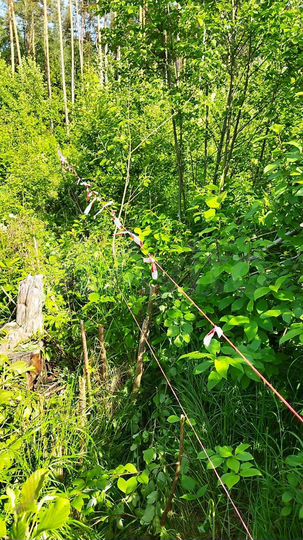 Участок 14 сот. (ИЖС)