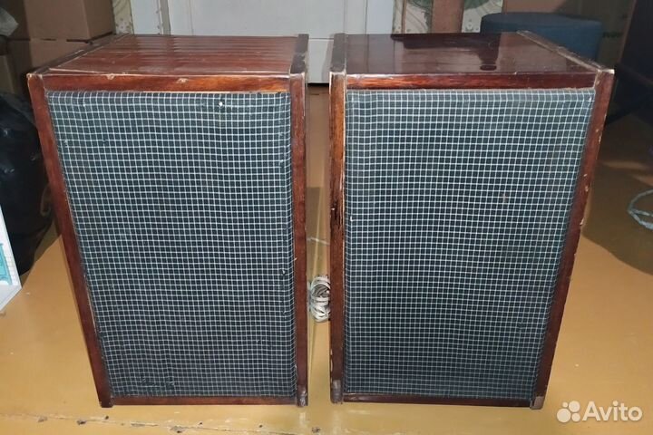 Акустическая система 10Мас