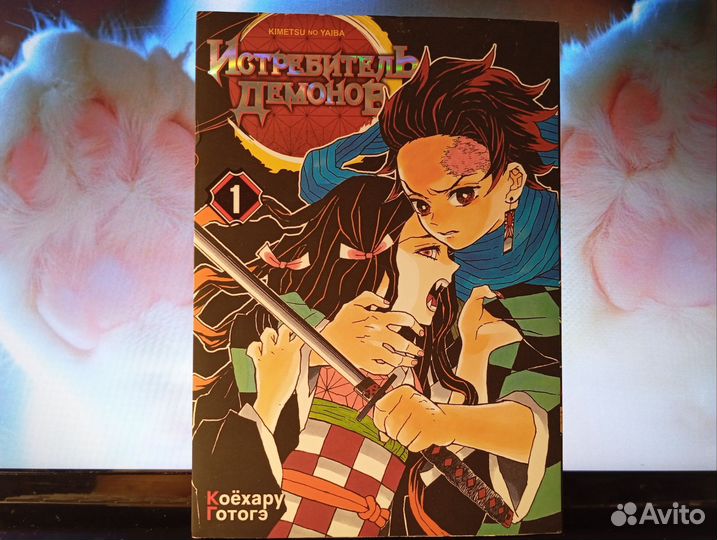 Клинок рассекающий демонов 1 том
