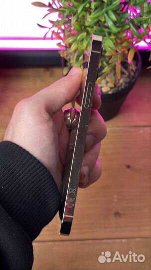 iPhone 12 Pro Max, 256 ГБ