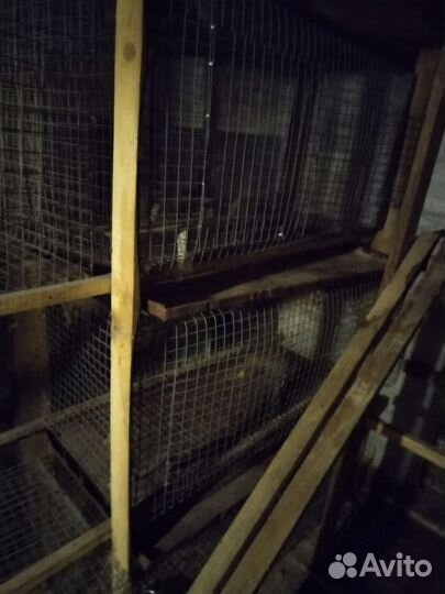 Клетка для кролика, шиншилл