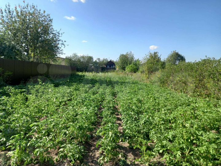 Участок 6 сот. (ИЖС)