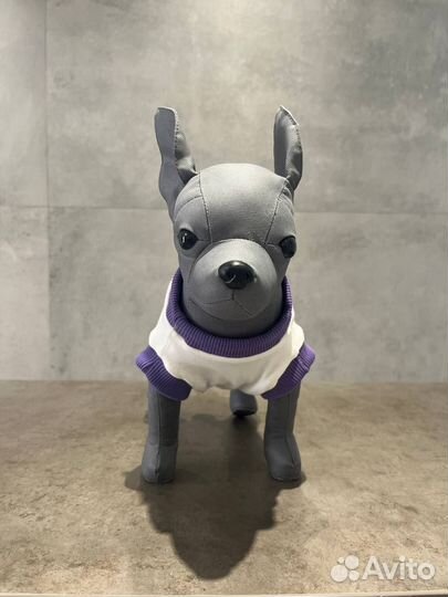 Одежда для животных