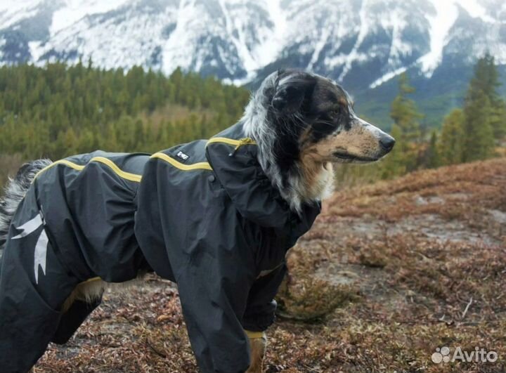 Комбинезон, плащ осень для собак Hurtta
