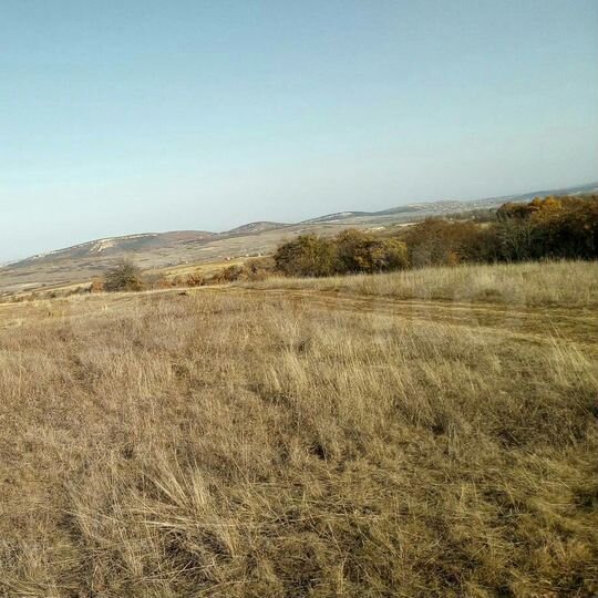 Участок 10 сот. (СНТ, ДНП)