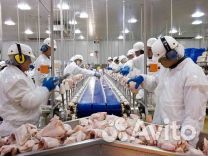 Фасовщик Вахта Питание Проживание Без опыта