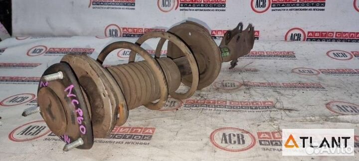 Стойка передняя левая toyota IST