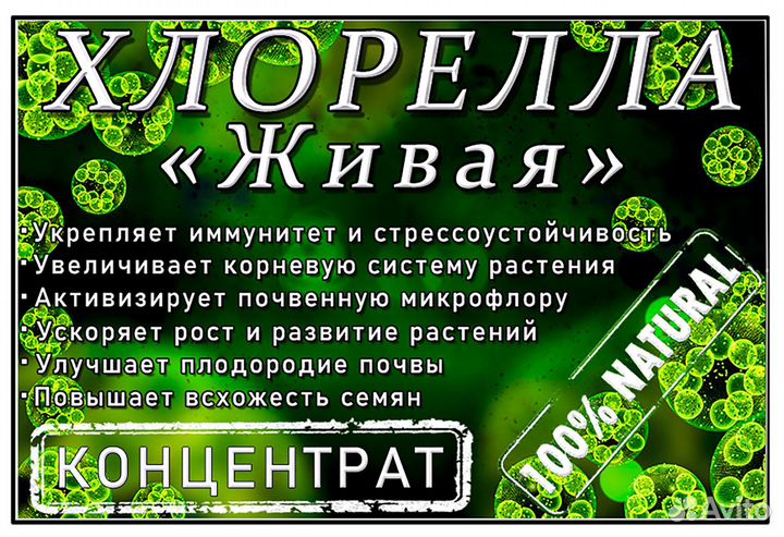 Триходерма - для защиты растений от болезней