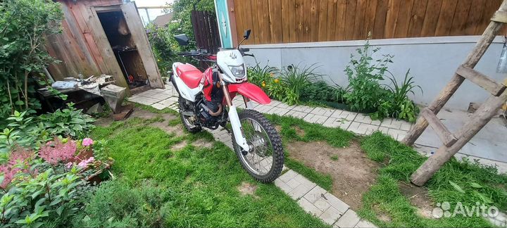 Irbis ttr 250r
