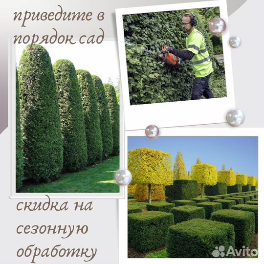 Спилить дерево, обрезка плодовых. Услуги садовника