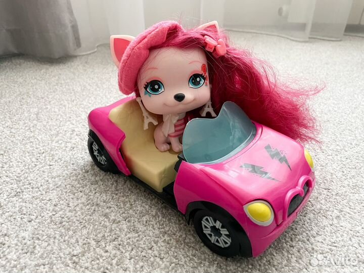 Собака Софи vip pets