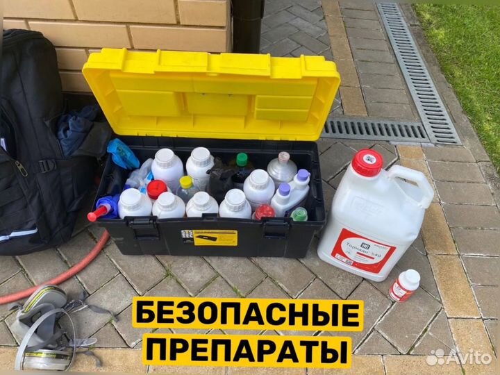 Дезинфекция. Уничтожение клопов тараканов плесени