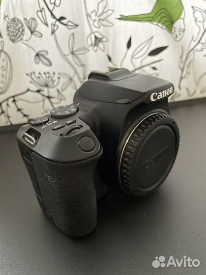 Canon 250D