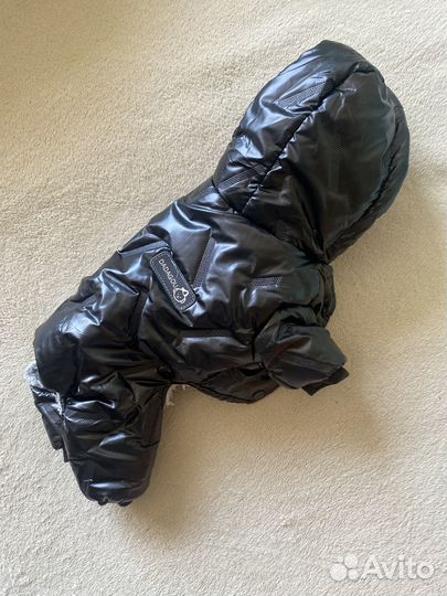 Комбинезон для маленькой собаки