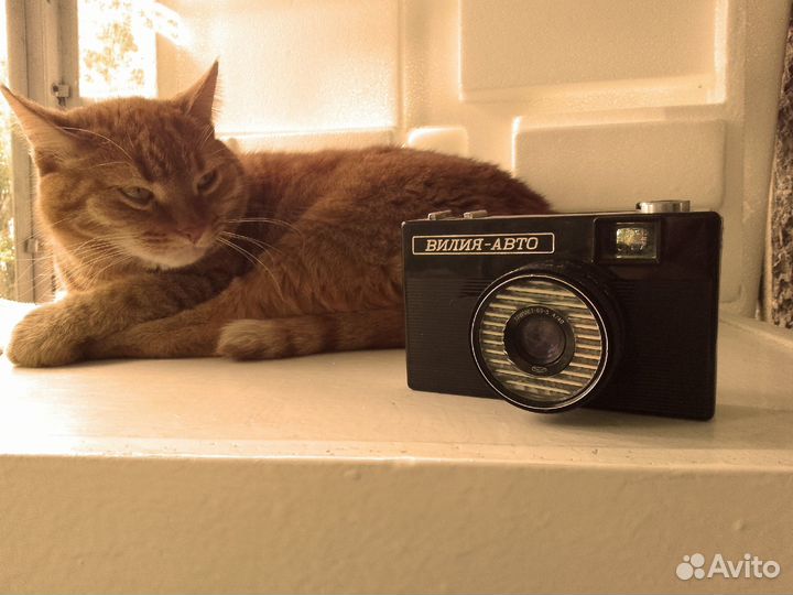 Фотоаппарат Вилия авто