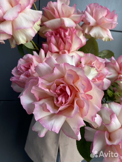 Букет французских роз