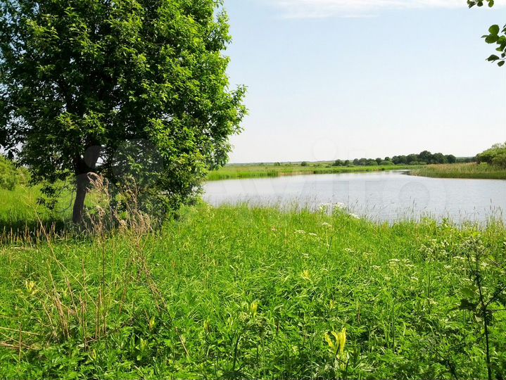 Участок 46 сот. (ИЖС)