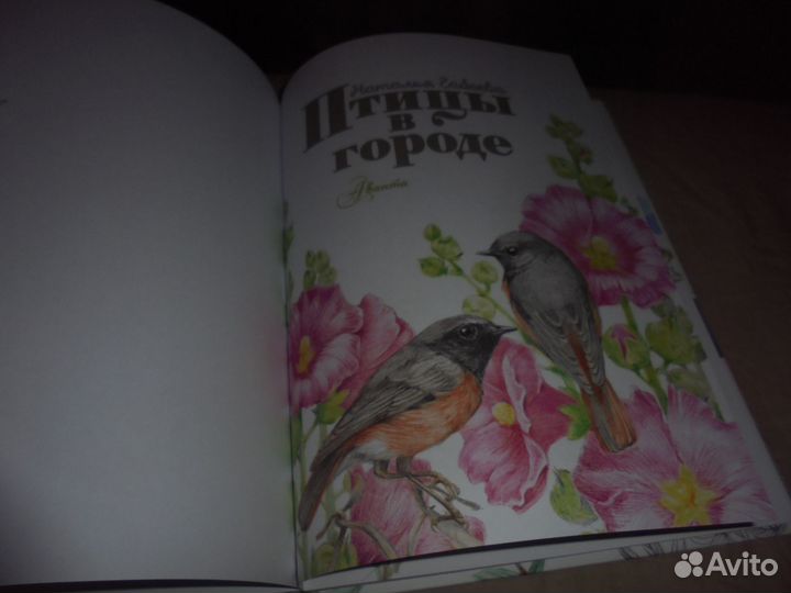 Птицы в городе Н.Габеева Аванта 2022