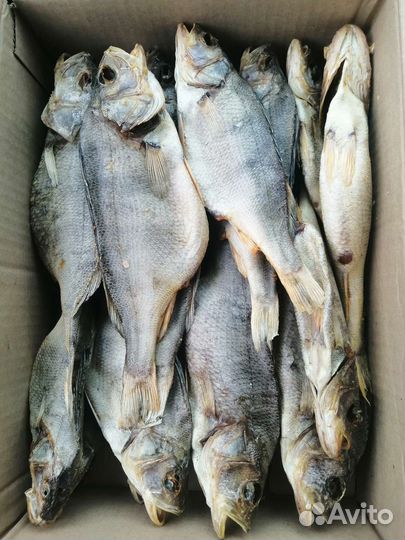 Окунь вяленый