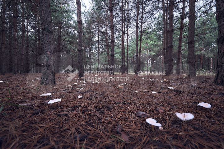 Участок 15 сот. (ИЖС)