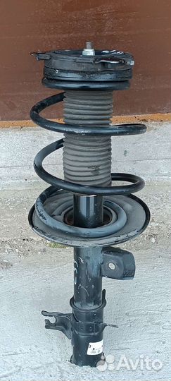 Амортизатор передний Правый Nissan Teana L33