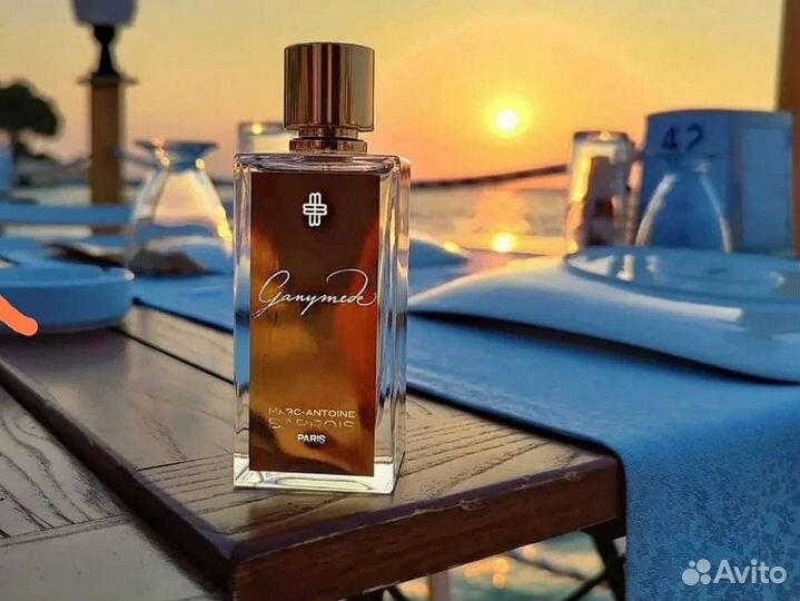 Marc-Antoine Barrois Ganymede