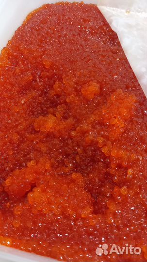 Икра горбуши