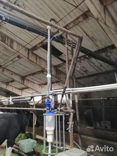 Молокопровод