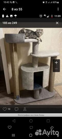 Когтеточка для кошек новая,комплексы разные