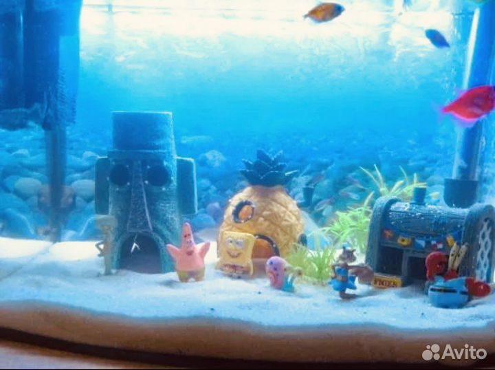 Крутой набор Спанч Боб для аквариума