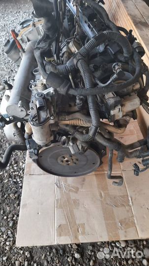 Двигатель BLF 1,6 для Volksvagen Golf 5, Jetta