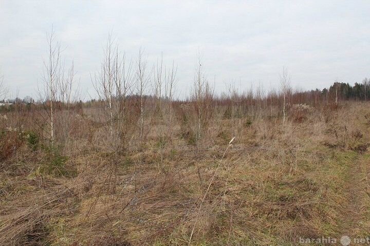 Участок 15 сот. (ИЖС)