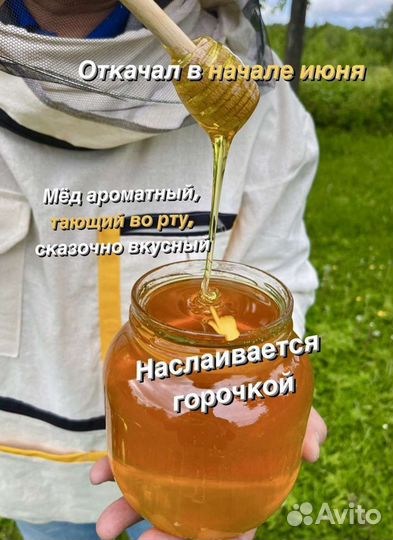 Свежий Липовый мед