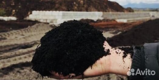 Чернозём Рязанский Земля плодородная d3