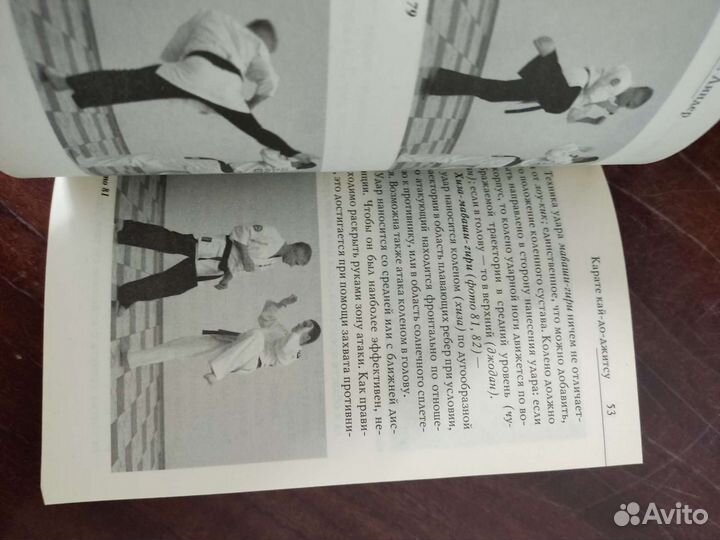 И. Линдер. Реальность Победы