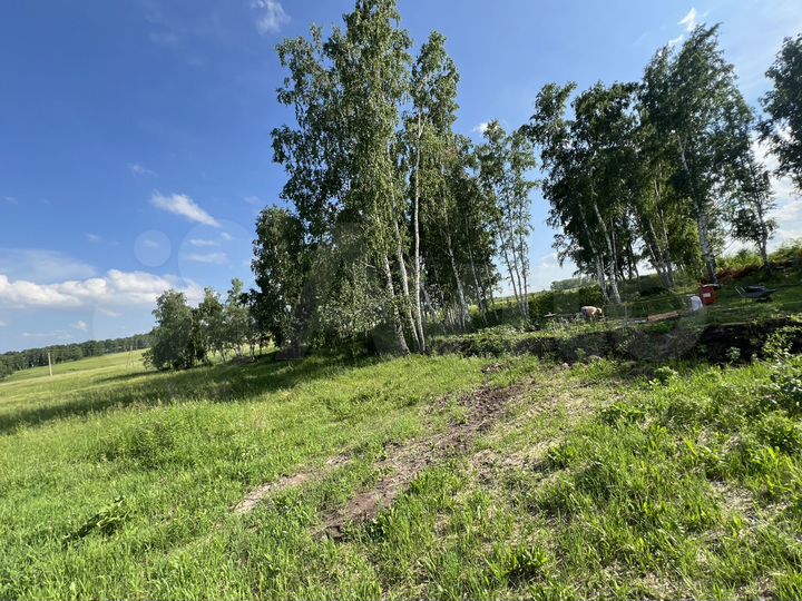 Участок 14,5 сот. (ИЖС)