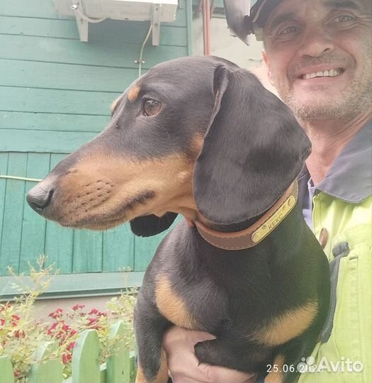 Вязка кабель такса