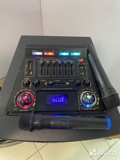 Акустическая система каоаоке ElTronic 12N