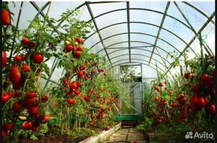 Работа на теплице с проживанием