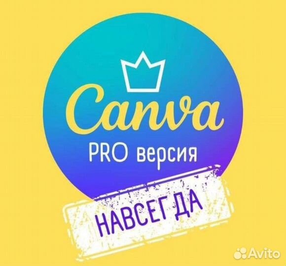 Canva pro team