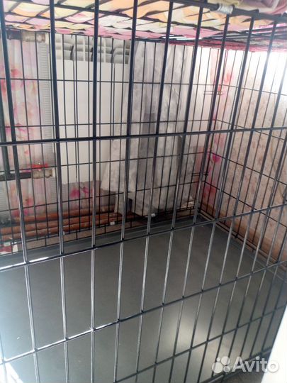 Клетка для собак 6 номер