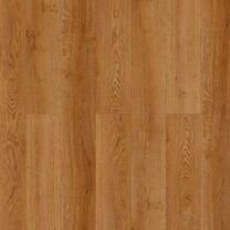 Жуковский город число жителей. Год основания г жуковский. Численность жуковский 2024. Численность города жуковский. Население челябинска в 2-24.