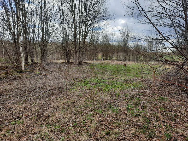 Участок 42 сот. (ИЖС)